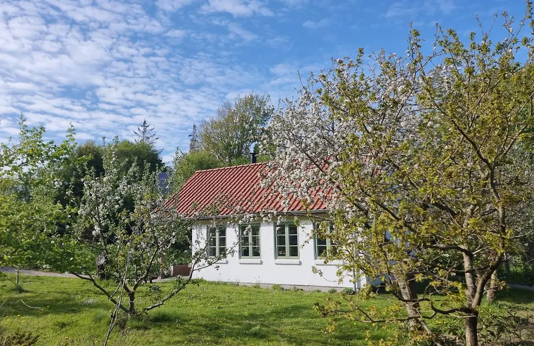 Koppes Mølle B&B-1